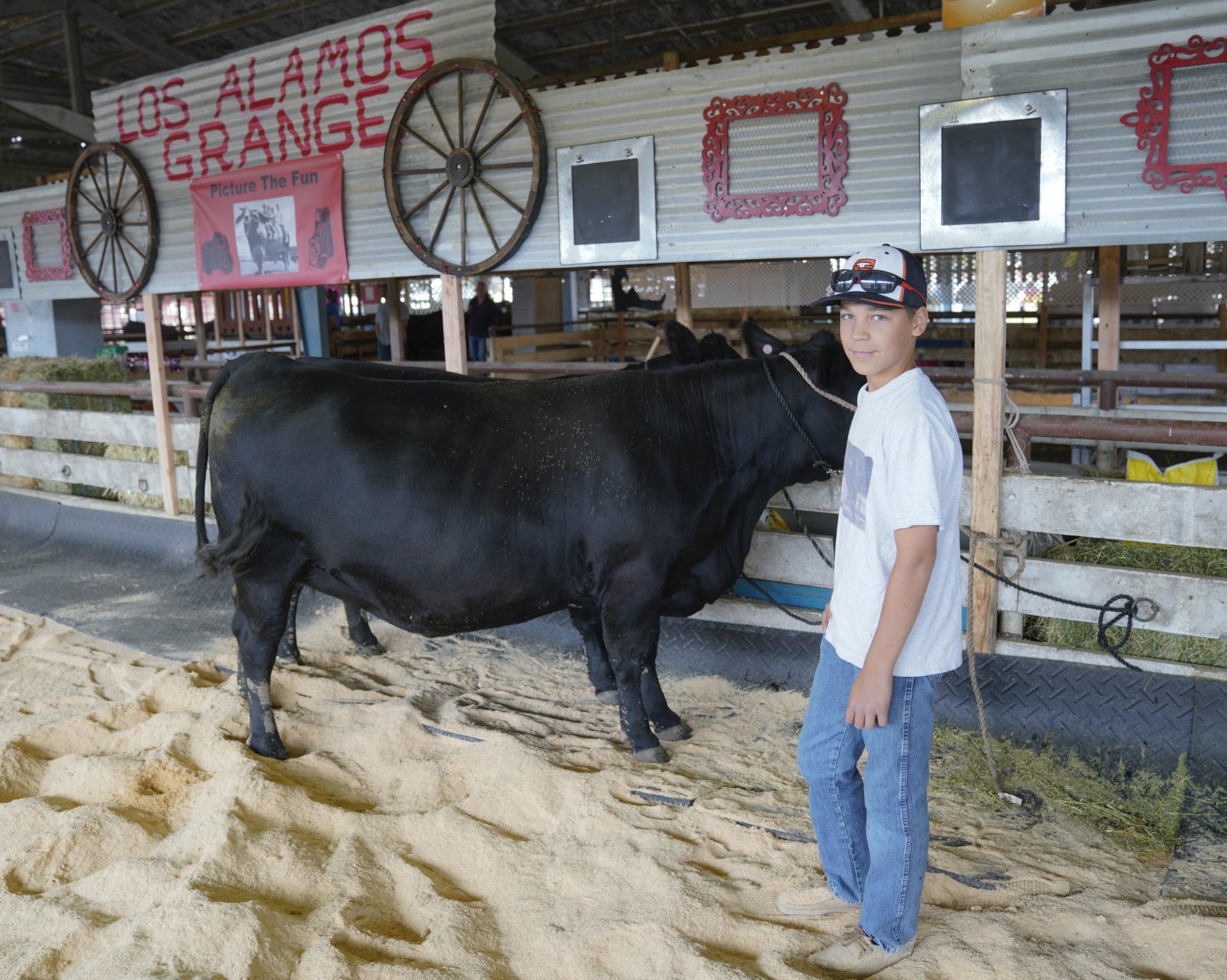070719 Animals Arrive for Fair 05.jpg